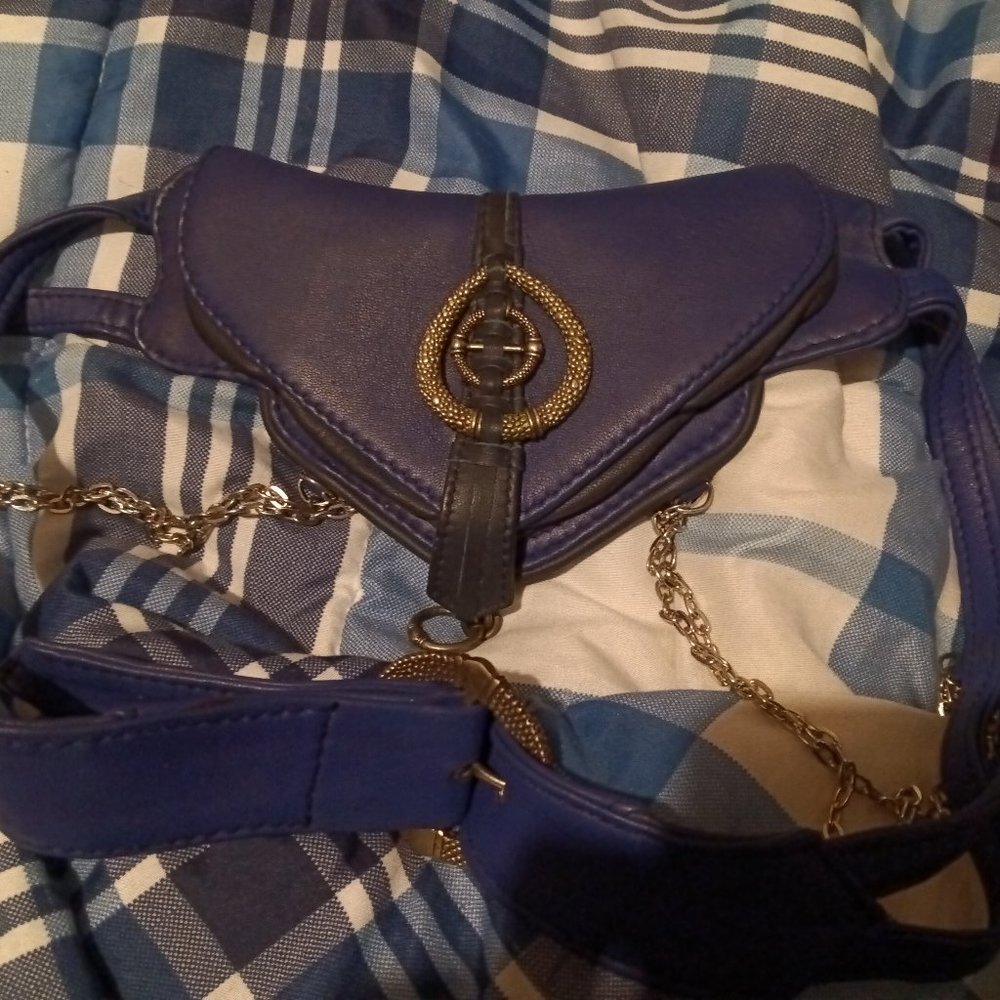 Blue Hip Stash Belt